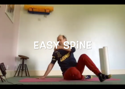 This weeks 30 minute Awareness Through Movement favorite: Easy Spine – 30 mins (gentle mobility, tension release)